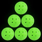 Outdoor Pickleball Balls, 40 Holes Pickleball 6 Pack Glow at Night Pickleball for Amateurs Indoor and Outdoor Sport, Luminous Gr